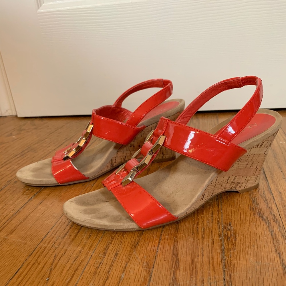 Coral Wedges